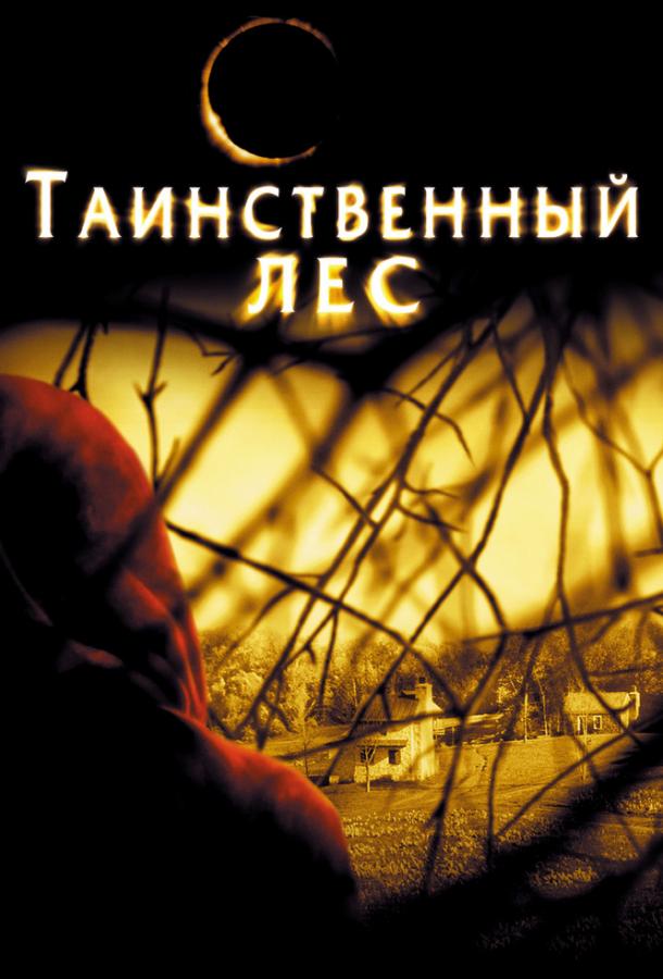 Фильм Таинственный лес (2004) смотреть онлайн в HD качестве